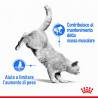ROYAL LIGHT WEIGHT CARE 0.4KG.