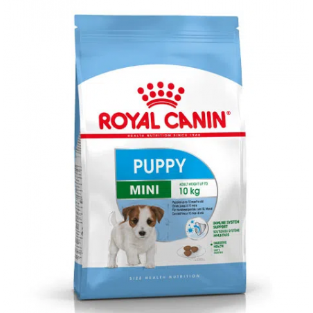 ROYAL MINI PUPPY DOG KG2