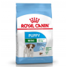 ROYAL MINI PUPPY DOG KG2