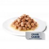 ADVANCE AVET CAT GASTRO 85 GR