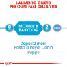 ROYAL CANIN STARTER MOUSSE DOG 195 GR.