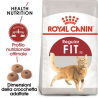 Royal Canin Regular Fit 32 Crocchette per gatti 10 KG