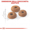 Royal Canin Regular Fit 32 Crocchette per gatti 10 KG