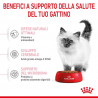 Royal Canin Cat Kitten 2 kg.