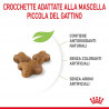 Royal Canin Cat Kitten 2 kg.
