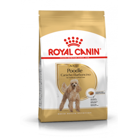 ROYAL PO0DLE ADULT 0.500 gr