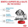 Royal Canin Medium Puppy Crocchette per cani 10KG.