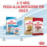 Royal Canin Medium Puppy Crocchette per cani 10KG.
