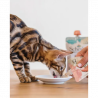 Schesir Kitten Care 0-6 Pollo - 150g
