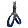 PETT.CINQUETORRI BLU SZ.1