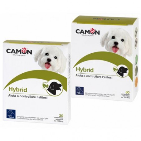 HYBRID 30 CPR DA 1000 MG