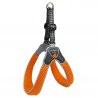 PETT.CINQUETORRI ARANCIO TG3
