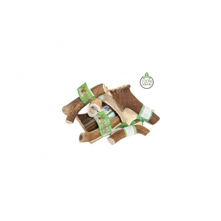 CORNA DI CERVO CHIUSA L 120/160 GR