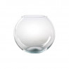 CRYSTAL GLOBE 25 AMTRA