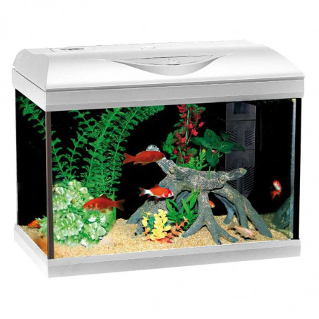 AMTRA RIVIERA ACQUARIO 40 LED ACQUA FREDDA BIANCO 42 x 23,5 x 33 cm