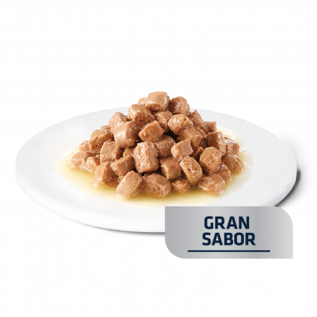 ADVANCE AVET CAT GASTRO 85 GR