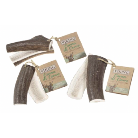 CORNA DI CERVO APERTA M 80-120 GR.