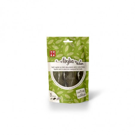 BUSTE FOGLIA MEDIA 5PZ 90GR