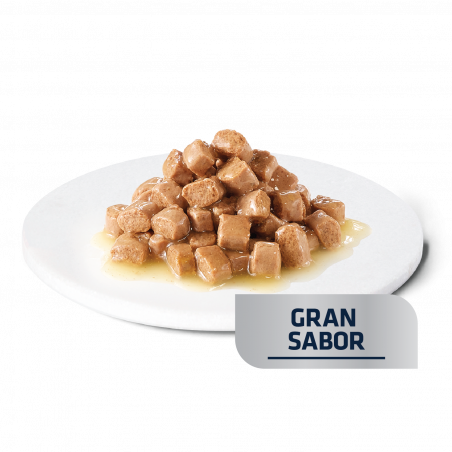 ADVANCE  AVET CAT URINARY 85 GR