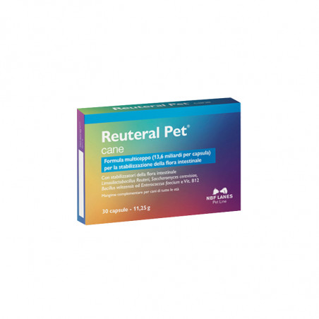 REUTERAL PET CANE 30CPS