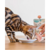 Schesir Kitten Care 0-6 Pollo - 150g