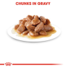 INTENSE BEAUTY GRAVY 85 GR