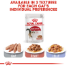 ROYAL INSTINCTIVE GRAVY 85GR. SALSA