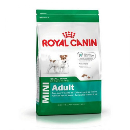 Royal Canin Hond Mini Adult 4 Kg
