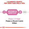 Royal Canin Mother & Baby cat 2 kg
