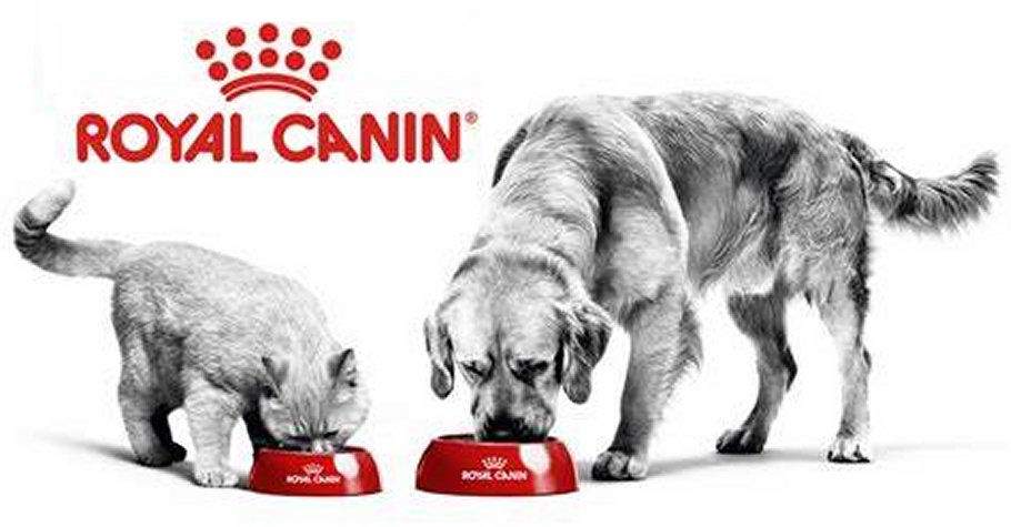 Royal canin