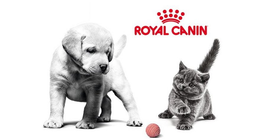 Royal canin